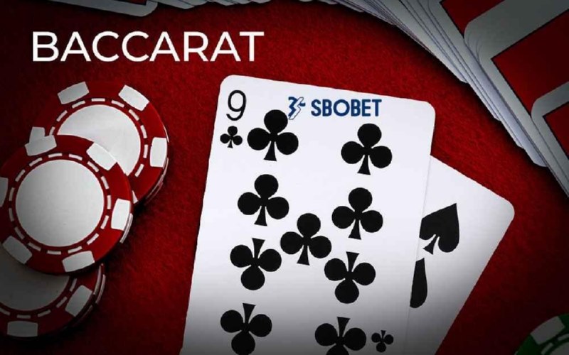 Baccarat là game bài được bet thủ yêu thích 