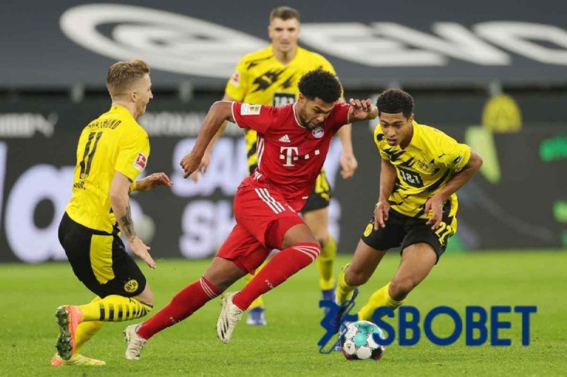 Học hỏi kinh nghiệm soi kèo bóng đá Đức để luôn thắng cược
