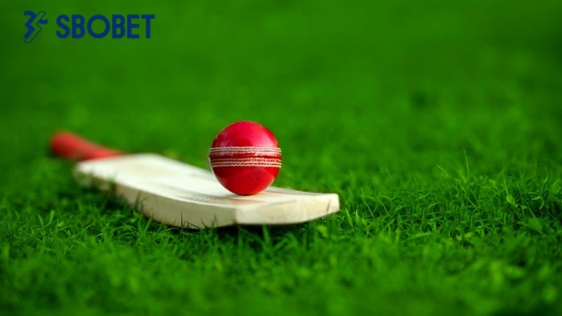 Các loại kèo cược bóng gậy theo cập nhật 2024