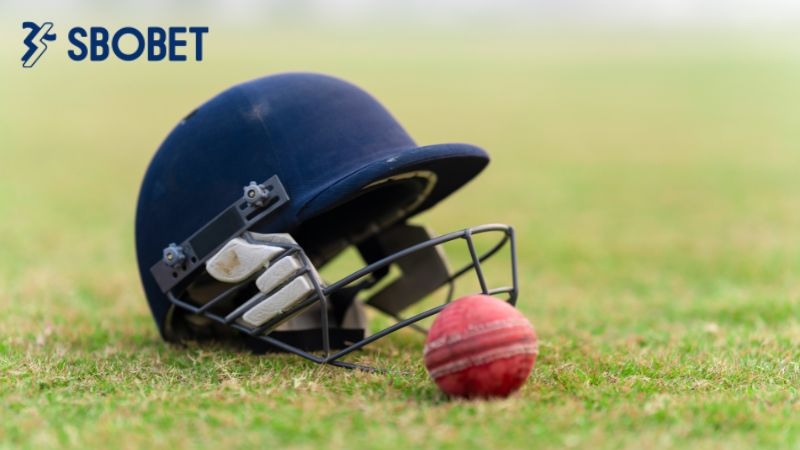 Giới thiệu nhà cái cá cược bóng gậy