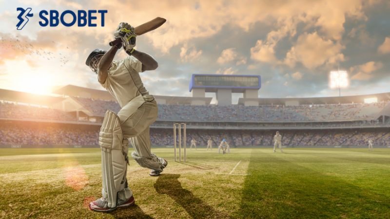 Bóng Gậy còn biết với cái tên quốc tế Cricket