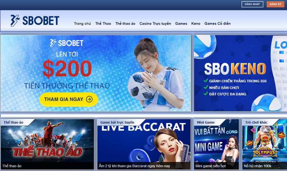 Lựa chọn nhà cái uy tín để chơi cá cược bóng rổ