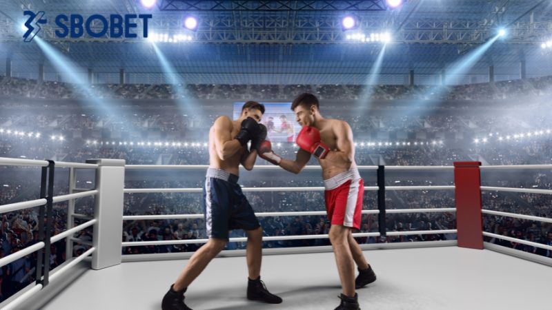 Luật chơi cá cược boxing cập nhật mới nhất 2024