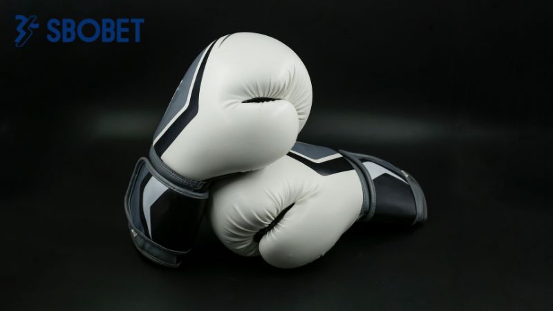 Giới thiệu nhà cái cá cược boxing