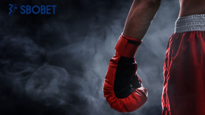 Cá cược boxing, loại hình cá cược đối chiến hấp dẫn