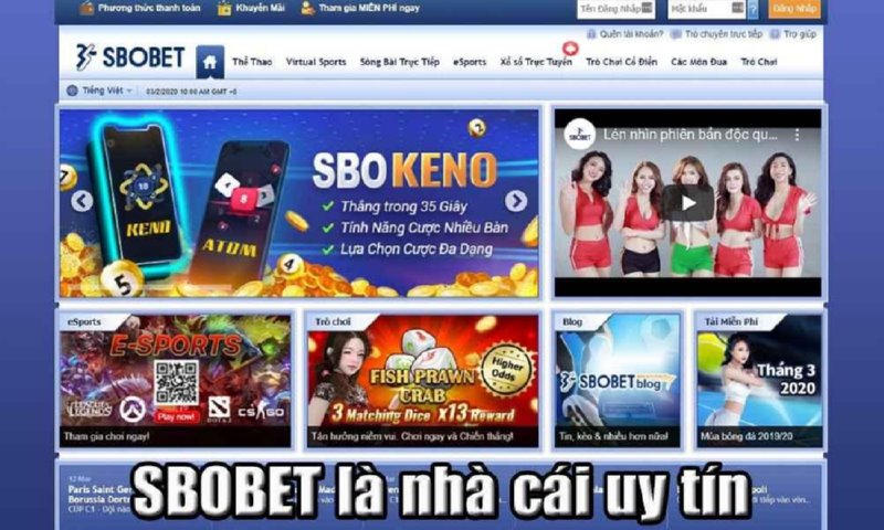 Tham gia giải trí cá cược tại địa chỉ nhà cái trực tuyến uy tín nhất