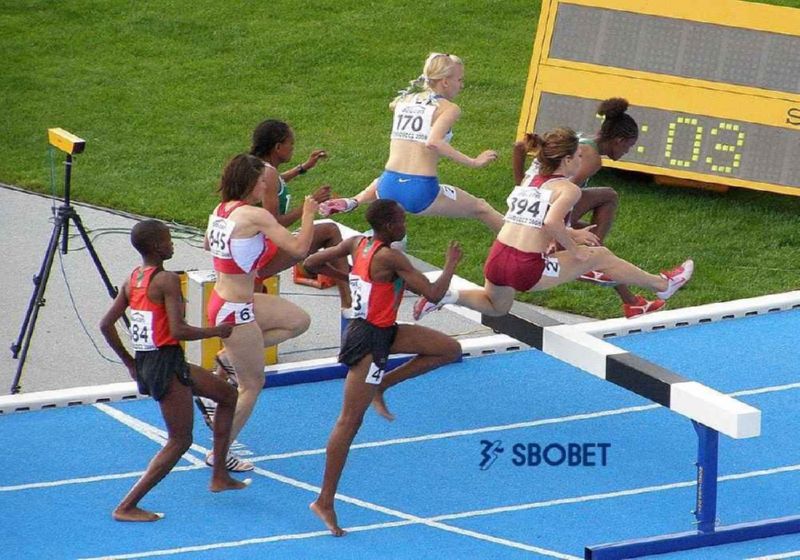 Cá cược điền kinh là gì