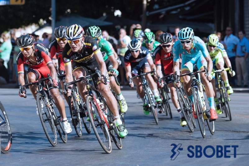 Cá cược đua xe đạp có tỷ lệ cược cao.