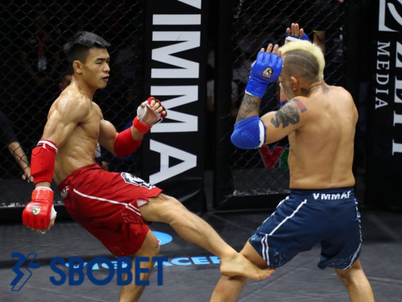 Luật chơi MMA thế nào 