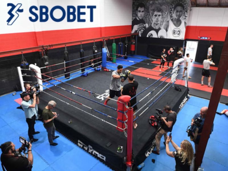 Kèo cược thắng thua trong cá cược MMA 