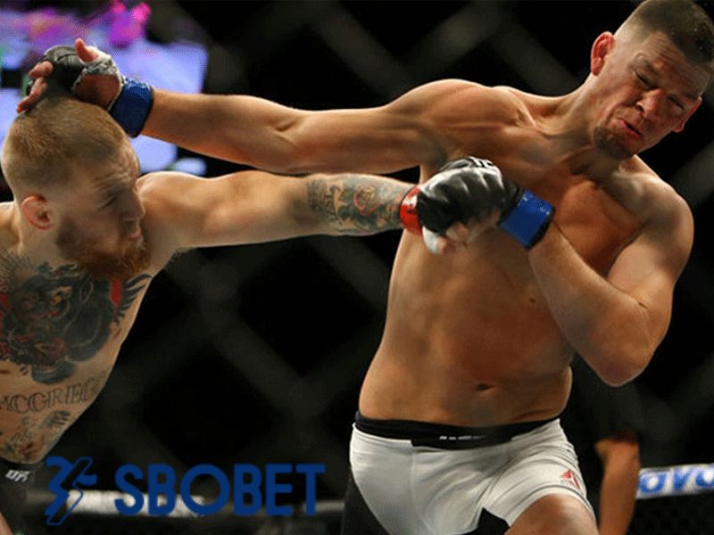 Cá cược MMA là gì 