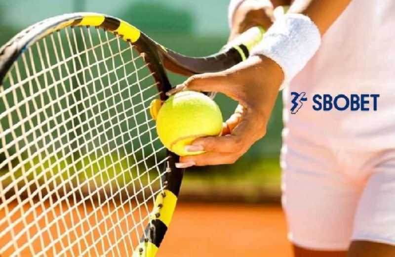 Cá cược quần vợt có luật chơi, quy tắc và cách tính điểm đơn giản