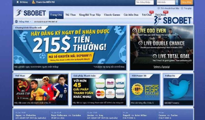 Tham gia cá cược ở nhà cái uy tín để đảm bảo mọi quyền lợi