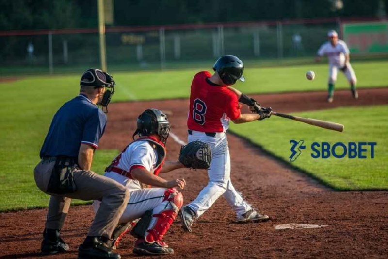 Cá cược bóng chày có luật chơi và quy định dễ hiểu