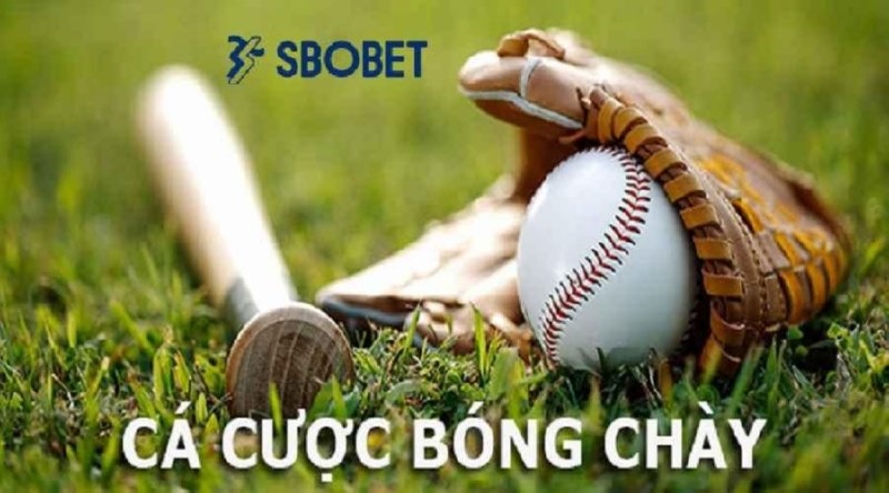 Cá cược bóng chày là gì