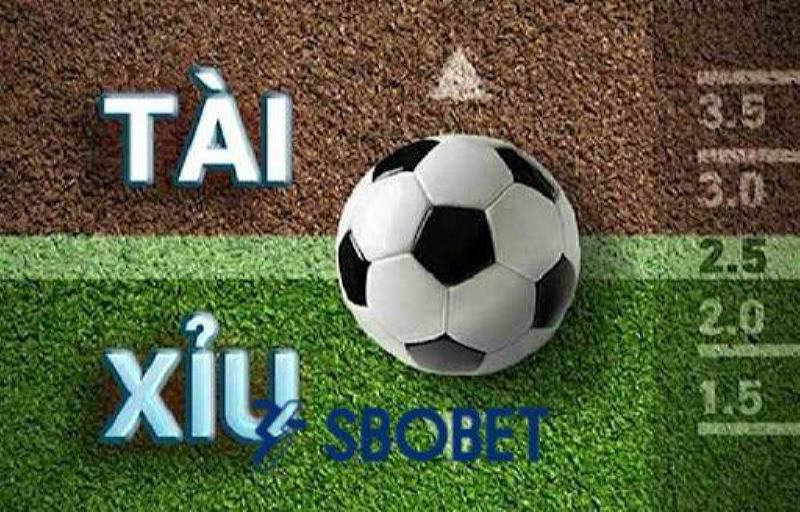 Cược tài xỉu dễ chơi dễ thắng