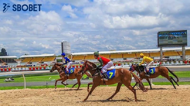 Đây là trò chơi mô phỏng các cuộc đua ngựa thực tế