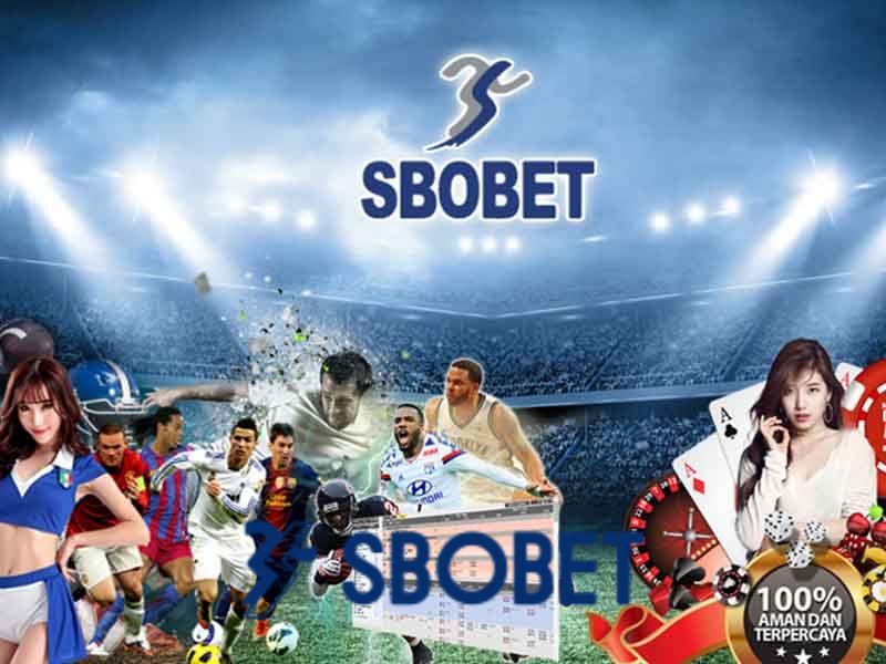 Nhà cái đã đạt được nhiều thành công nhất định