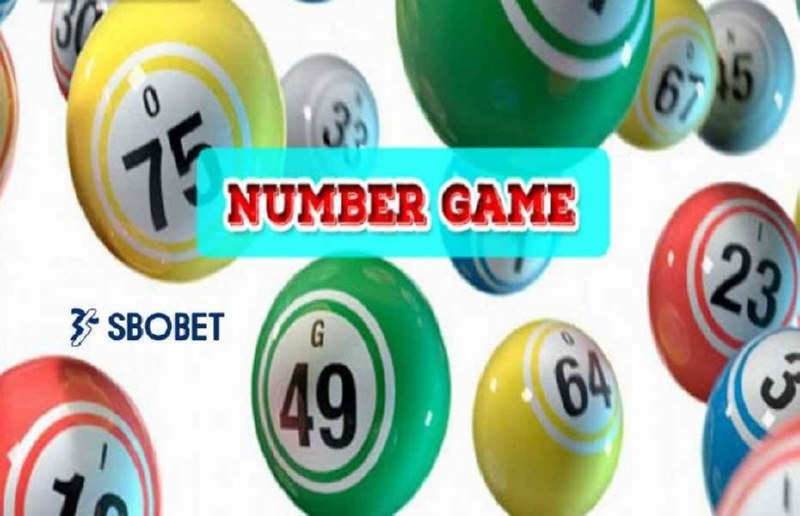 Những thuật ngữ thường gặp trong Number Game