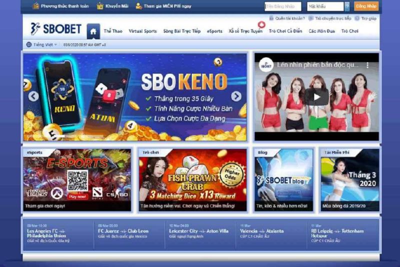 Lựa chọn nhà cái uy tín để tham gia cá cược trực tuyến