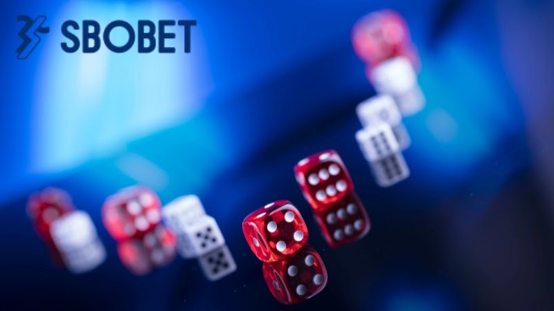 Tuân thủ quy định cá cược của nhà cái là điều người chơi cần chú trọng