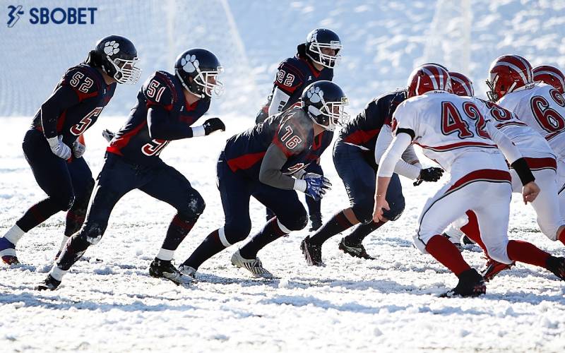 Chơi cá cược Winter Sport dễ dàng.