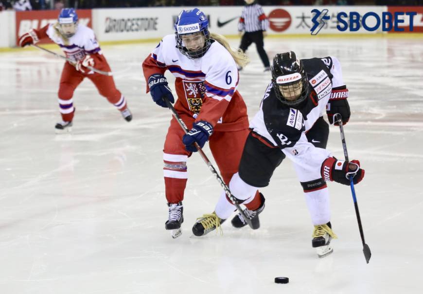 Thể thao mùa đông có sức hấp dẫn cực lớn.