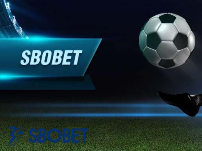 Trách nhiệm người chơi tại nhà cái có ý nghĩa gì 