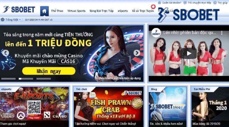 Nhà cái cá độ bida uy tín nhất hiện nay