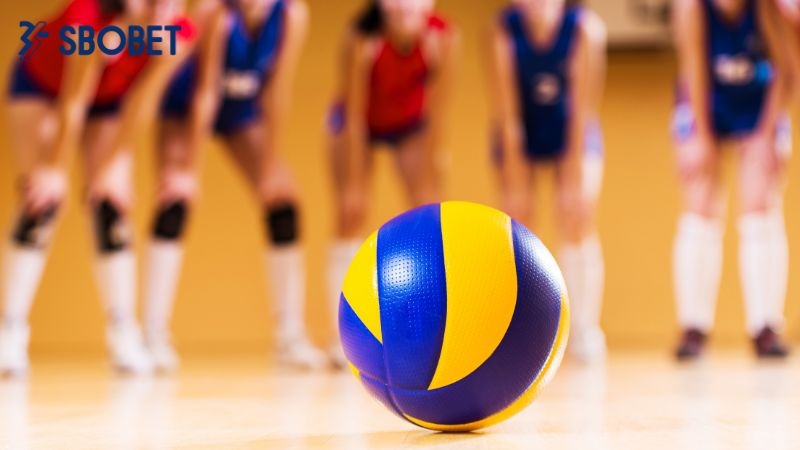 Đa dạng tỷ lệ kèo xuất hiện trong loại hình cá cược hấp dẫn