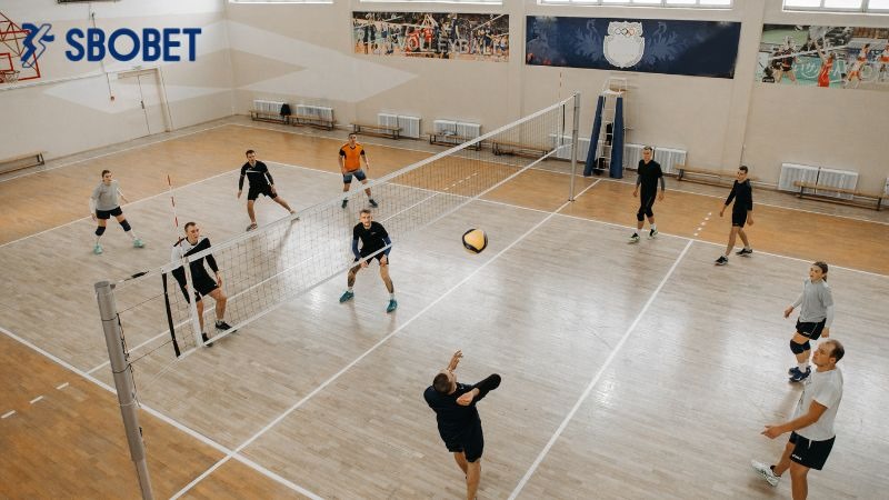 Thương hiệu hàng đầu trong việc cung cấp cá cược bóng chuyền đỉnh cao