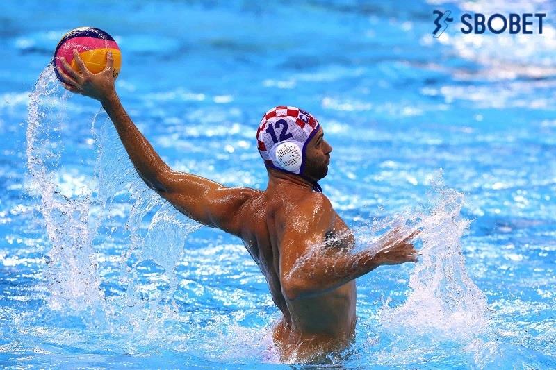 Sbobet là nhà cái uy tín nhất trong cá cược bóng nước