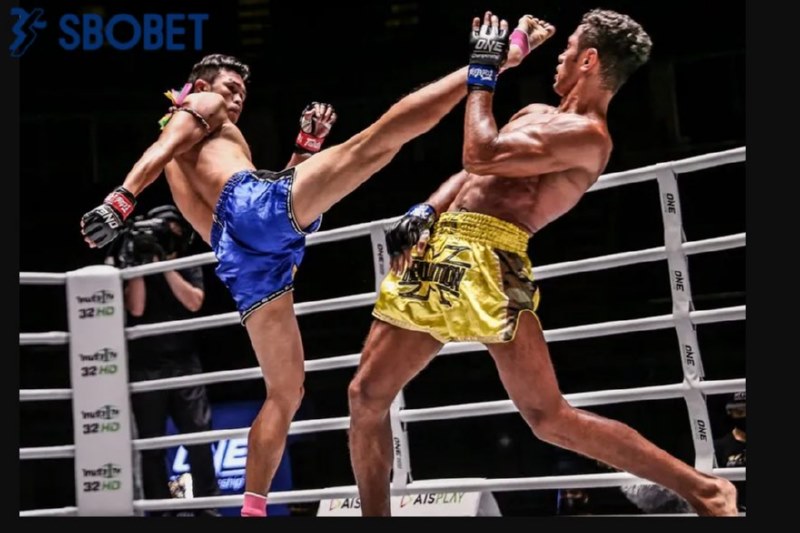 Kèo đội thắng trong cá cược Muay Thái có tỷ lệ ăn cao.