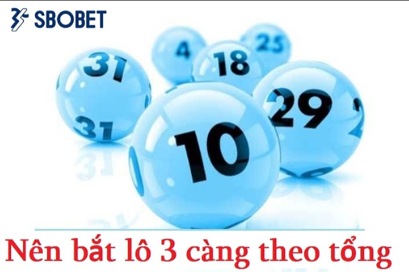 Nên bắt lô 3 càng theo tổng