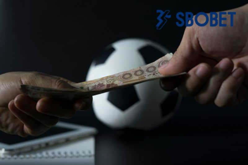 Đặt cược toàn trận chính xác nhận thưởng cực cao