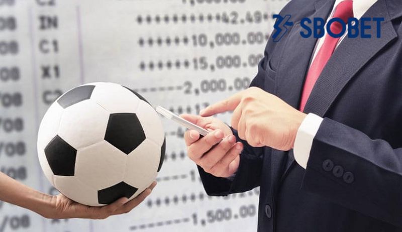 Kinh nghiệm đặt cược toàn trận dễ thắng