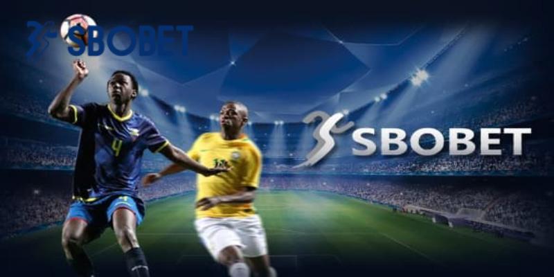 Nhà cái có tỉ lệ cược cao trên thị trường