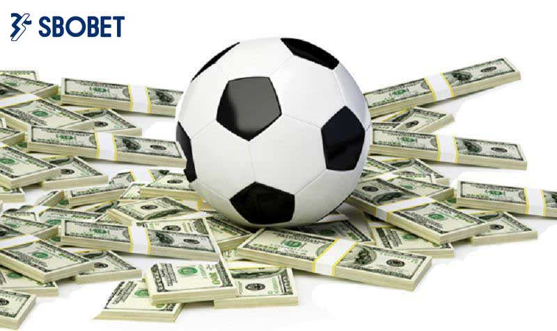 Có rất nhiều dạng bẫy nhà cái khác nhau, nhưng phổ biến nhất là: