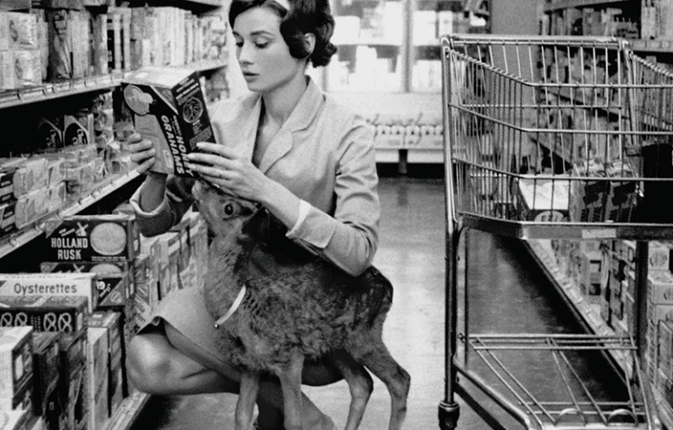audrey-hepburn-deer