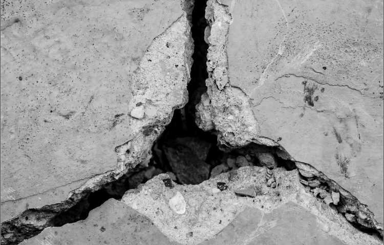 bioconcrete