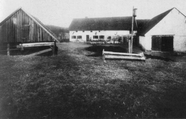 The Killer Was in the House: The Story of Germany's Most Disturbing Unsolved Murder Case