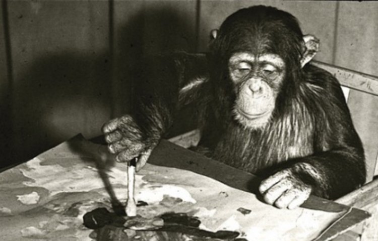 Chimp artist Congo