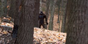 shoot bigfoot