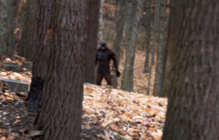 shoot bigfoot
