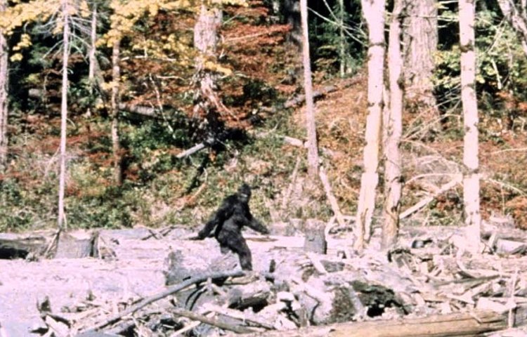 5 Scientists Who Believe in Bigfoot... Sorta.