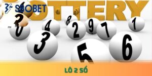 Bao lô 2 con là khi bạn chọn đánh hai con số thuộc dãy từ 00 đến 99