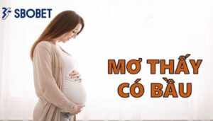 Mơ thấy có bầu báo hiệu sự thăng tiến