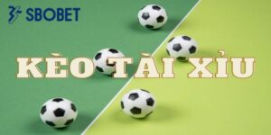 Người chơi nên tham khảo kết quả dự đoán từ người khác