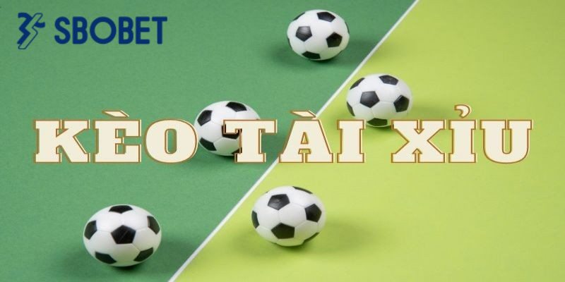 Người chơi nên tham khảo kết quả dự đoán từ người khác