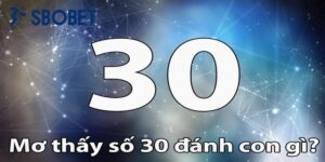 Mơ thấy 30 đánh con gì là câu hỏi chung của nhiều người